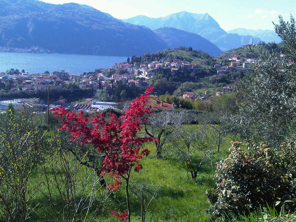 Agriturismo Crotto Di Somana Mandello del Lario Eksteriør bilde